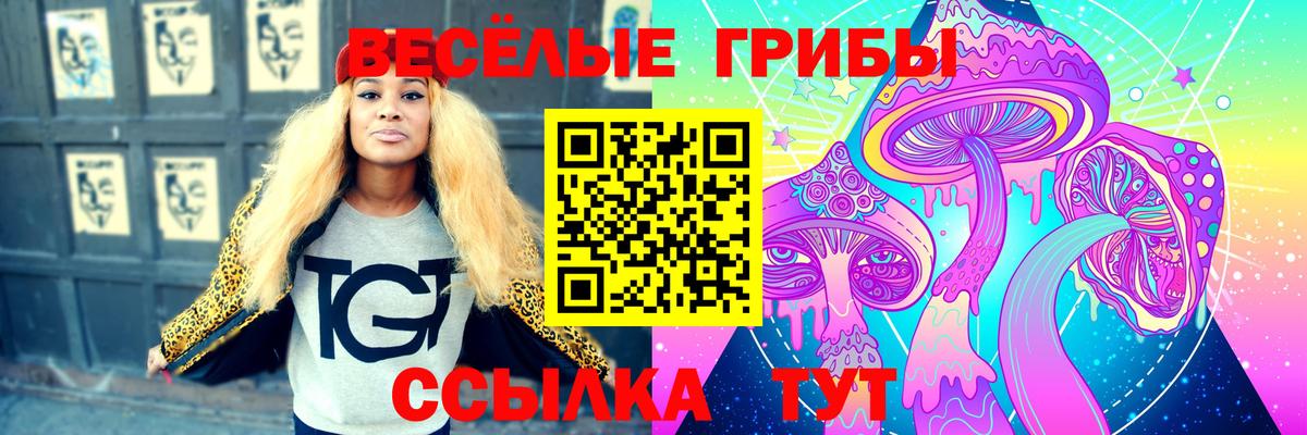Галлюциногенные грибы Psilocybine cubensis Кувандык